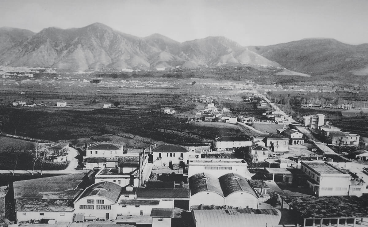 [box=mt-3]Bontà italiana dal 1933[/box]