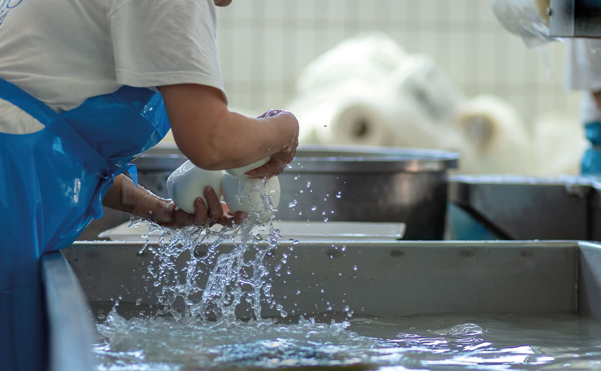 [box=mt-3]Processo produttivo[/box]