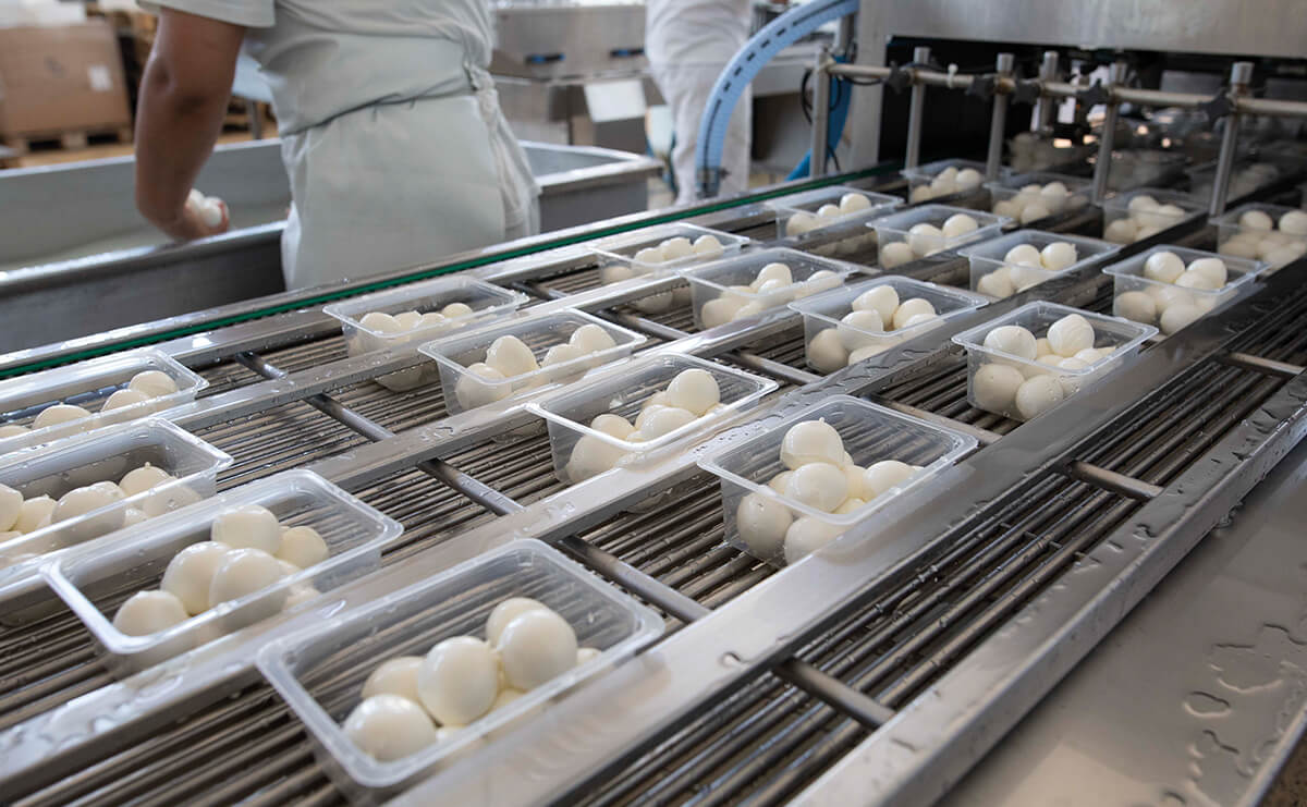 [box=mt-3]L'Azienda in cifre[/box]