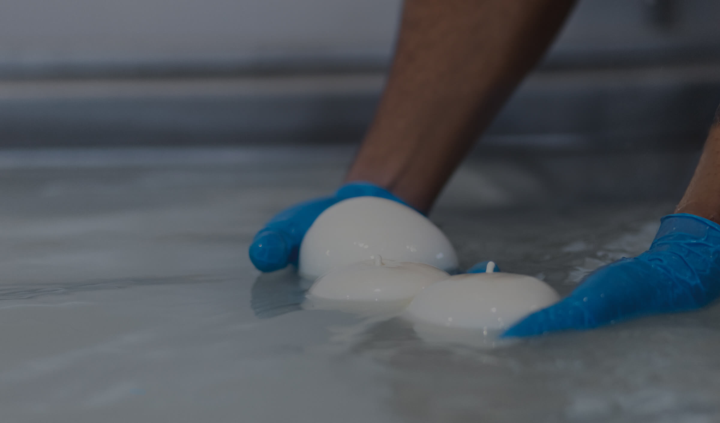 Qualità e tradizione nel cuore del Cilento