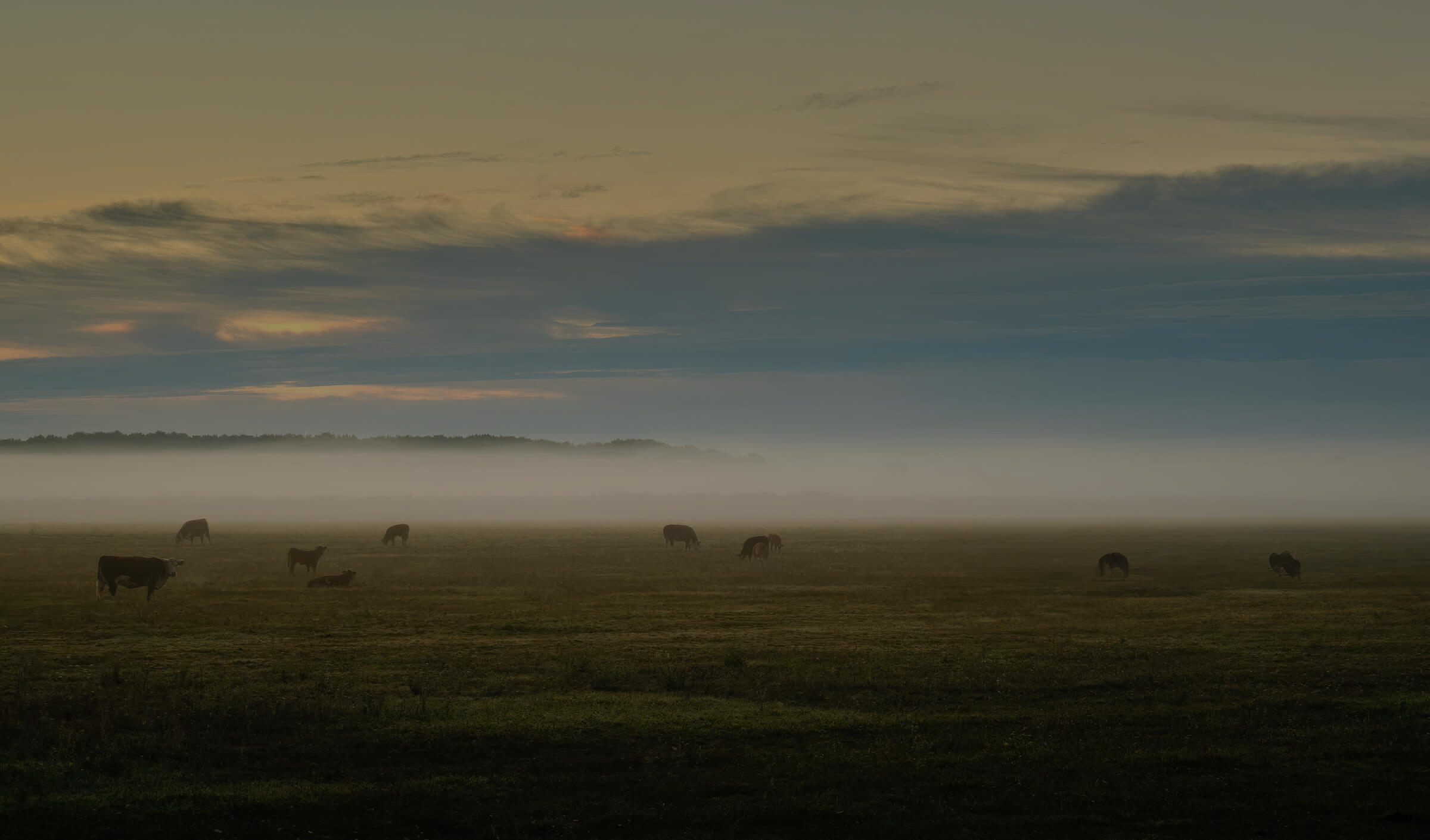Qualità responsabile e sostenibile